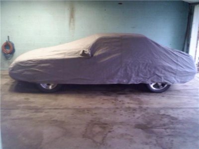 covered up.jpg