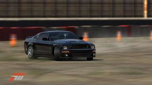 Shelby.jpg