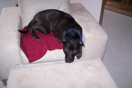 Jake%20003.jpg