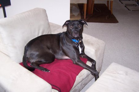 Jake%20004.jpg
