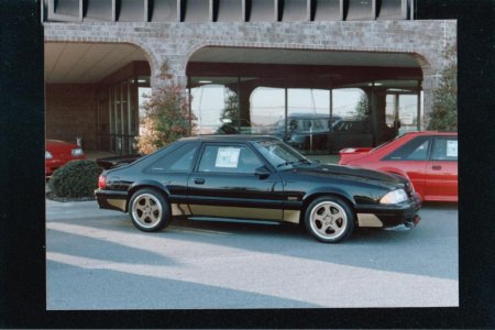 Scan879.jpg