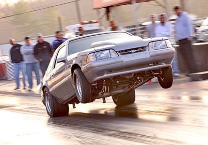 bestwheelie.jpg