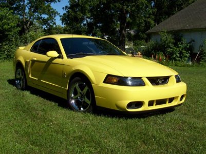 mustang pics 026.jpg