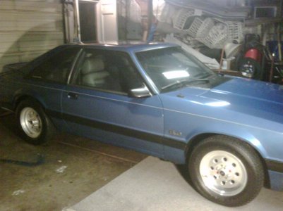 89stang1.jpg