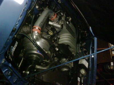 899stang.jpg
