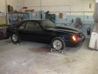 stang-INC.jpg