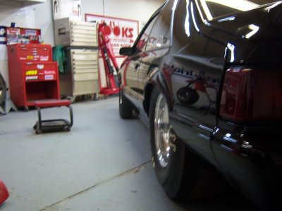 rear profile.jpg
