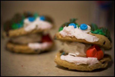 IMG_6442 sm.jpg