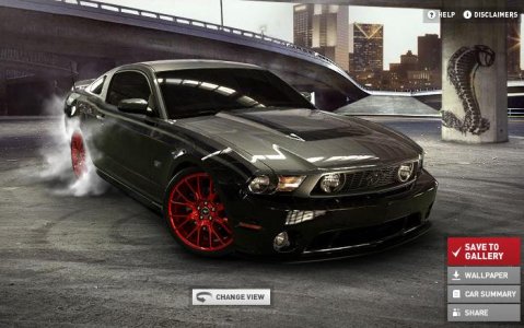 stang2.JPG