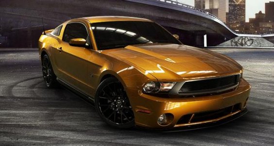 2010Mustang.JPG