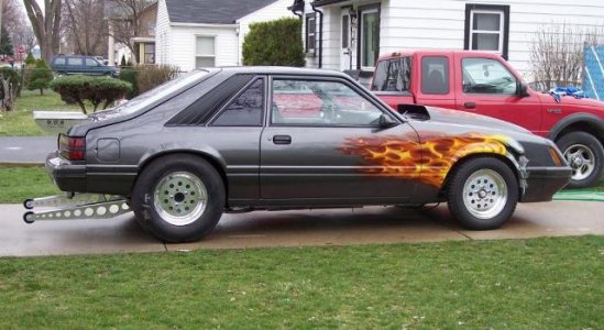 mustang%20pic1.jpg