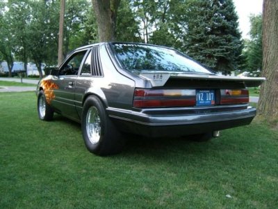 mustang%20pic2.jpg