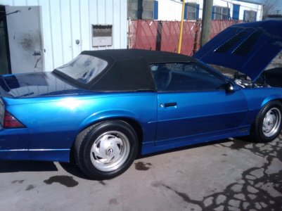 mikescellpics 216.jpg