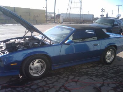 mikescellpics 218.jpg