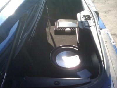 mikescellpics 219.jpg