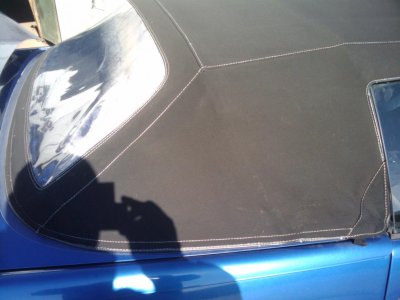 mikescellpics 221.jpg