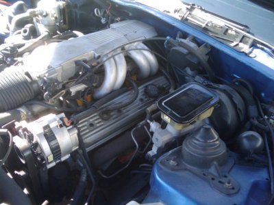 mikescellpics 225.jpg