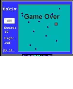 game.JPG