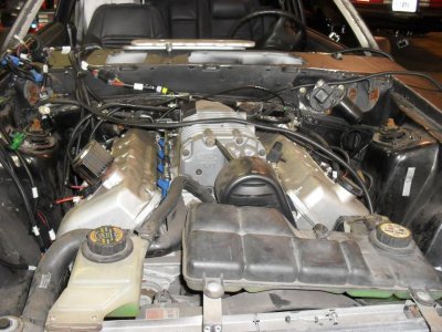 MOTOR.jpg