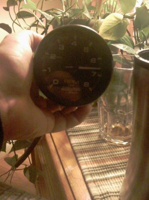 IMAG0253.jpg
