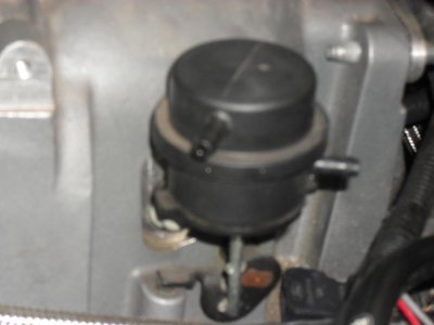 SDC10814.jpg