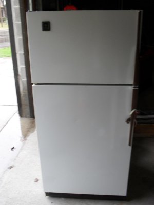 SDC10823.jpg
