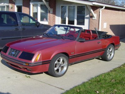 Mustang 11-14-09 003.jpg