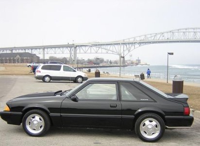 black stang side_1.JPG