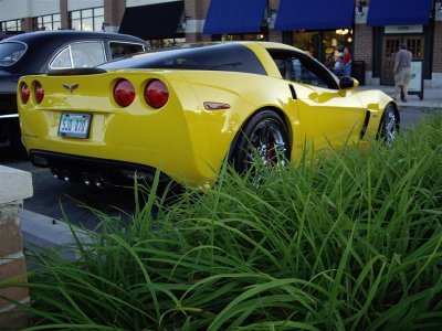 Aug 10, 07 048 (Medium).jpg