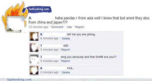 funny-facebook-pandas.jpg
