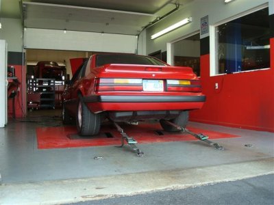 DSC01505 (Small).JPG