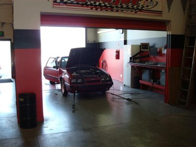 DSC01504 (Small).JPG