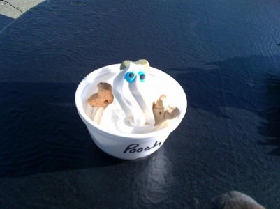 pooch-cup.jpg