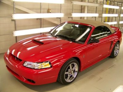 Cobra1.jpg