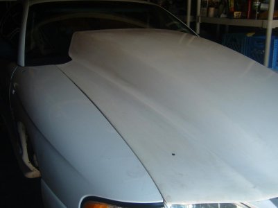 DSCF4401.jpg
