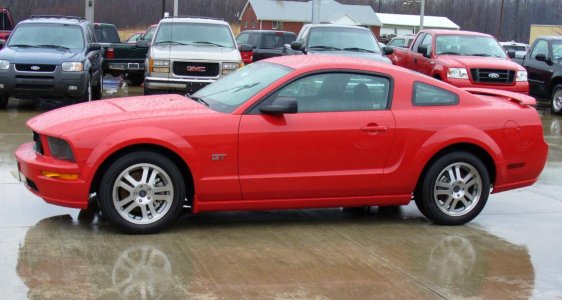 Day I bought her.jpg