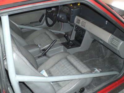 Stang-int.jpg
