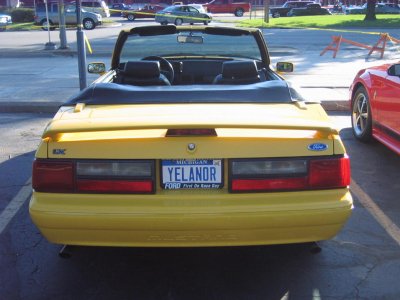 Picture 006.jpg