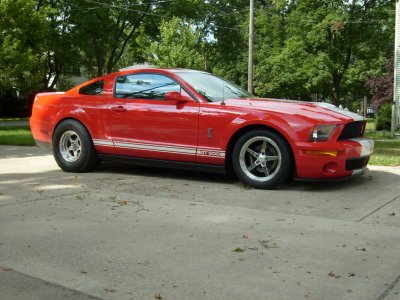 shelby 2 001.jpg