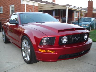 07Mustangsummer10 003.jpg
