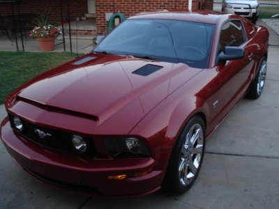 07Mustangsummer10 005.jpg