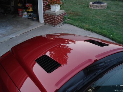 07Mustangsummer10 009.jpg