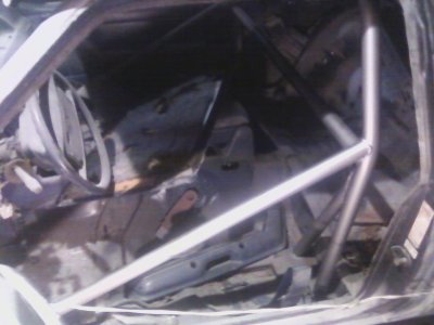 cage painted.jpg