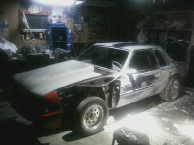 side w. bumper.jpeg