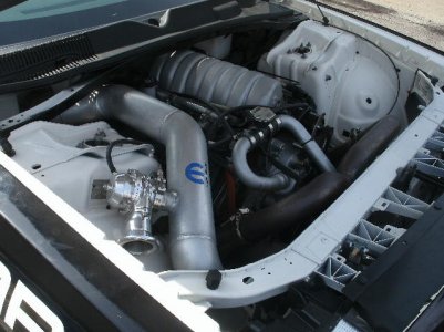 rt5.jpg