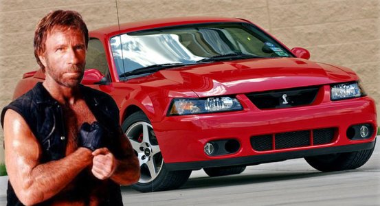 Chuck-Norris-Is-A-Cobra.jpg