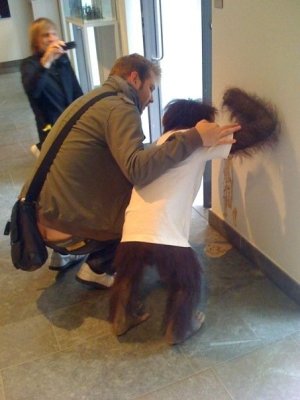 monkey.jpg