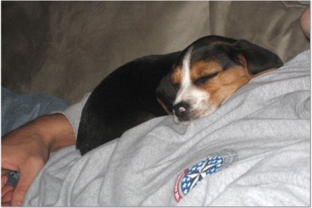 awwwww.jpg