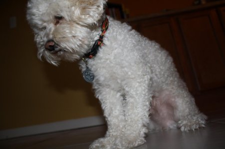 Vacation 2010 018.jpg