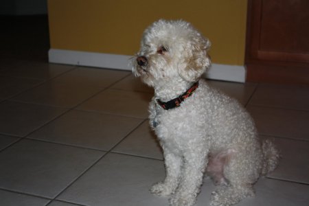 Vacation 2010 020.jpg